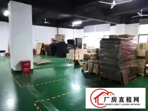  大浪新出精装修380平领包入住电商贸易办公仓库小组装招租
