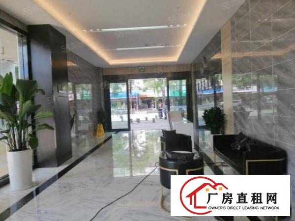  龙华大浪电商园精装修办公室适合电商贸易120平起租