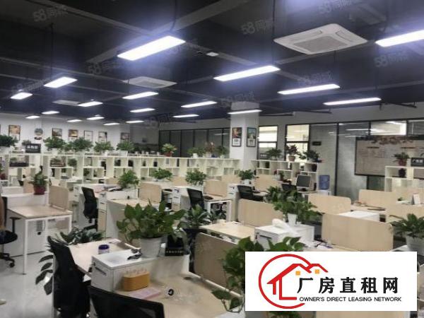  大浪行政中心1000平带家私精装修适合办公电商研发