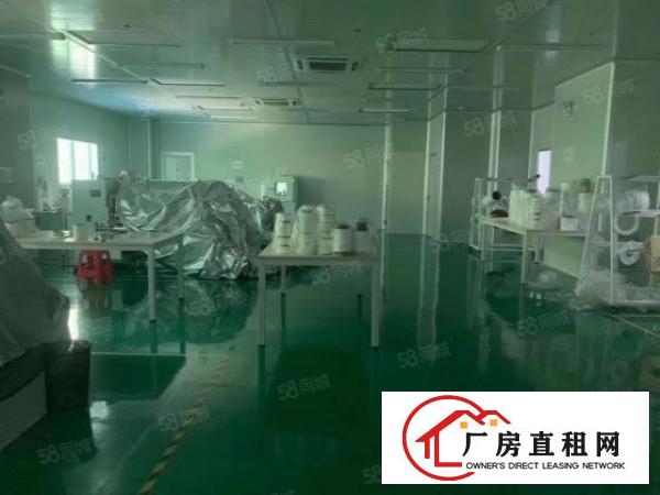  大浪新百丽附近新出精装修1400平方米出租