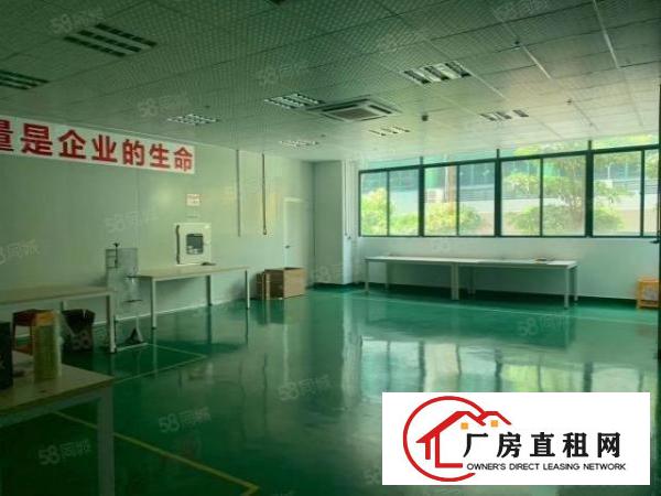  大浪新百丽附近新出精装修1400平方米出租