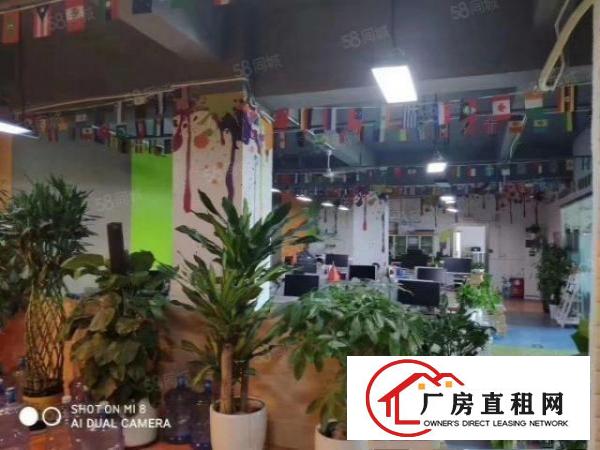  大浪电商园精装修600平
