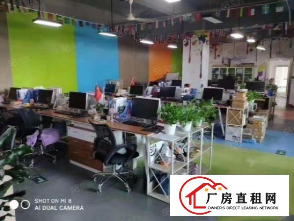 大浪电商园精装修600平