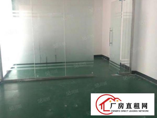  大浪河背青年电商中心小面积厂房180600低价出租