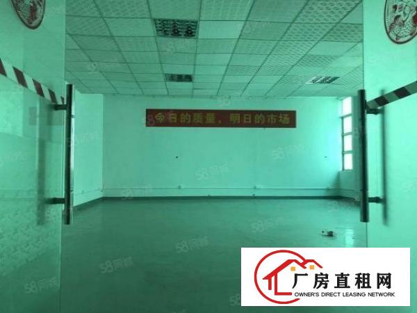  龙华大浪高新产业园新出整栋6500独院厂房招租
