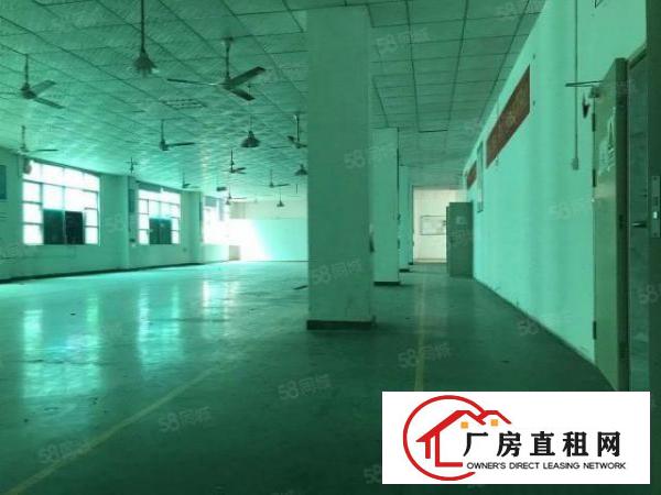  龙华大浪高新产业园新出整栋6500独院厂房招租