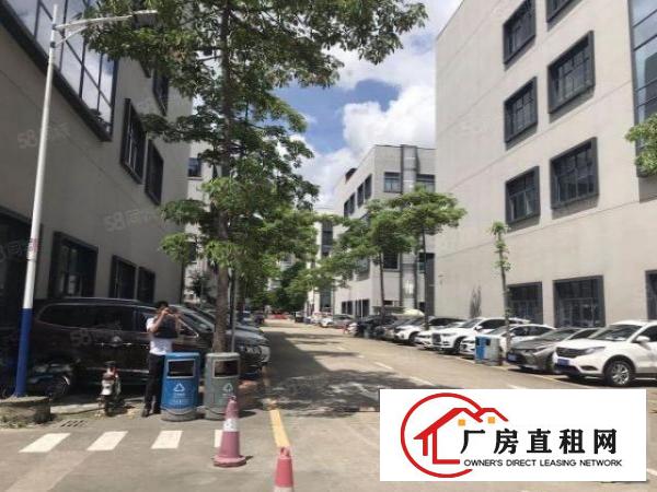  龙华大浪高新产业园新出整栋6500独院厂房招租