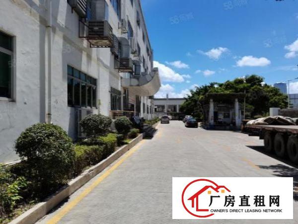  大浪劳动者广场附近新出原房东1800平厂房出租可分租