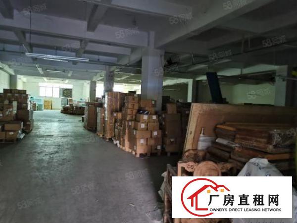  大浪劳动者广场附近新出原房东1800平厂房出租可分租