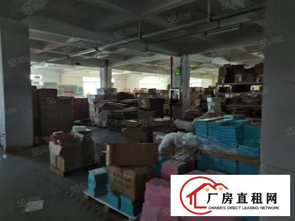  大浪劳动者广场附近新出原房东1800平厂房出租可分租