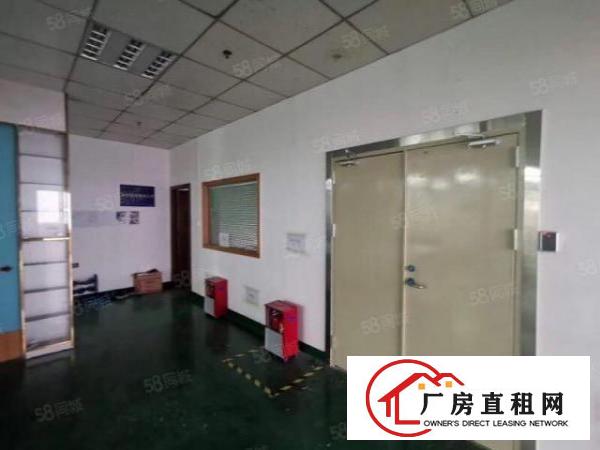  大浪新百丽原房东厂房精装修500平