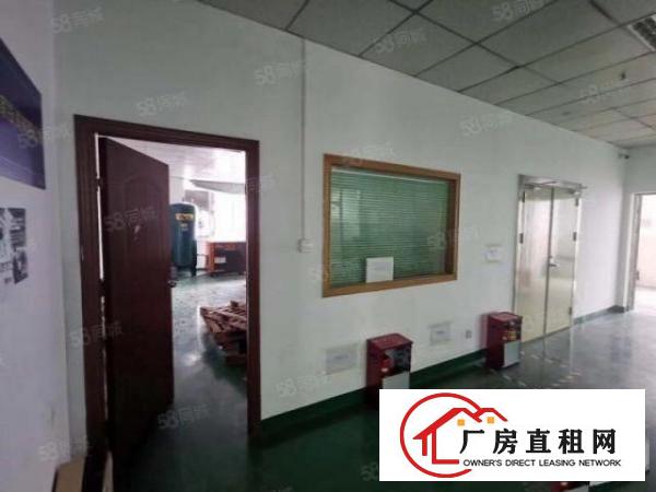  大浪新百丽原房东厂房精装修500平