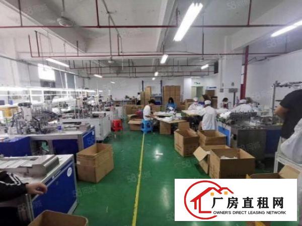  大浪新百丽原房东厂房精装修500平