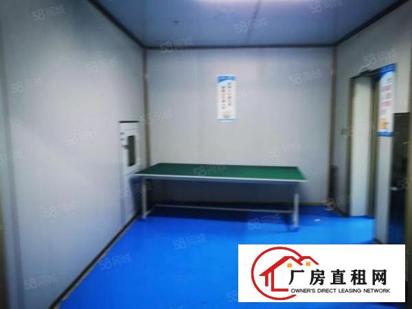  龙华大浪新出楼上无尘车间600到300平豪华装修