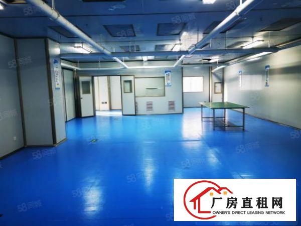  龙华大浪新出楼上无尘车间600到300平豪华装修