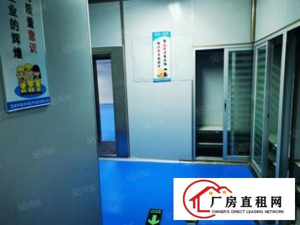  龙华大浪新出楼上无尘车间600到300平豪华装修