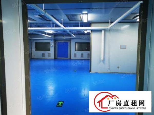  龙华大浪新出楼上无尘车间600到300平豪华装修