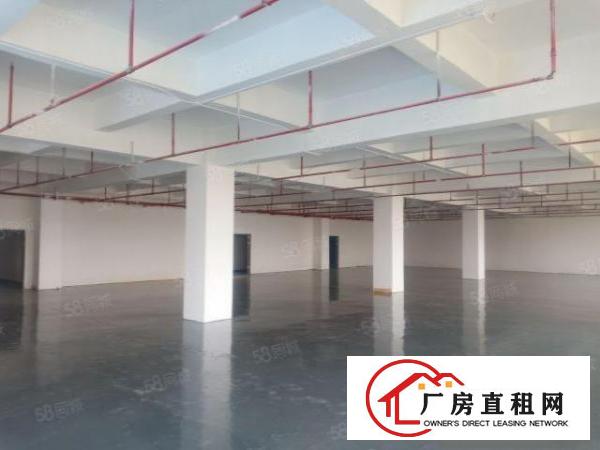  龙华大浪佳利工业区5万平红本厂厂房出租小面积厂房分租空地出租