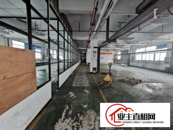  龙华大浪劳动者广场附近新出楼上精装修厂房1500平原房东