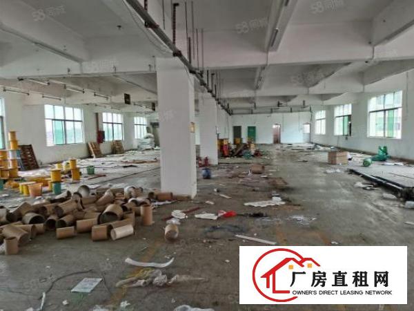  龙华大浪龙观快线桑原房东1300平带装醉厂房出租