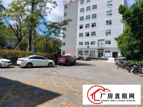  龙华大浪精装修仓库厂房出租工业园区2500平面积可分租