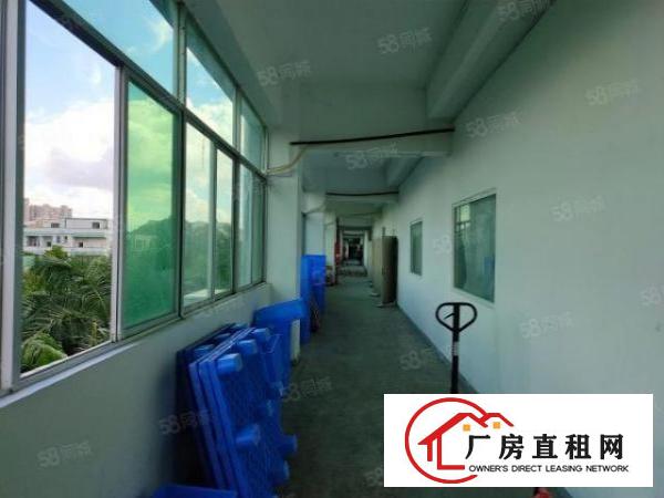  龙华大浪精装修仓库厂房出租工业园区2500平面积可分租