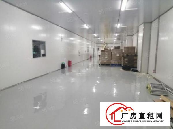  龙华新出楼上无尘车间2000平方厂房出租，口罩客户拎包入住