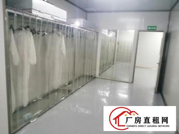  龙华新出楼上无尘车间2000平方厂房出租，口罩客户拎包入住