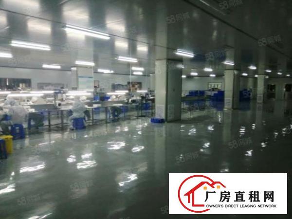  龙华新出楼上无尘车间2000平方厂房出租，口罩客户拎包入住