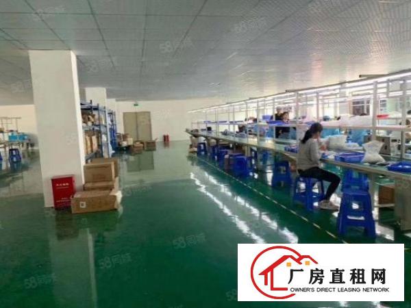  布龙路新出原房东厂房出租