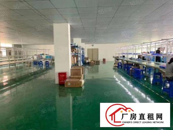  布龙路新出原房东厂房出租