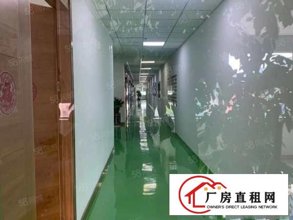  布龙路新出原房东厂房出租
