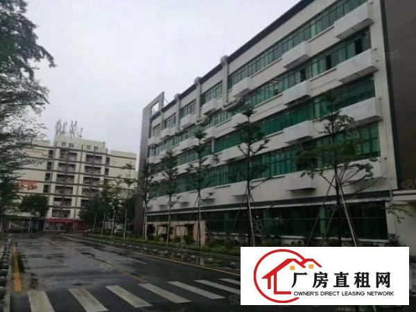 布龙路新出原房东厂房出租