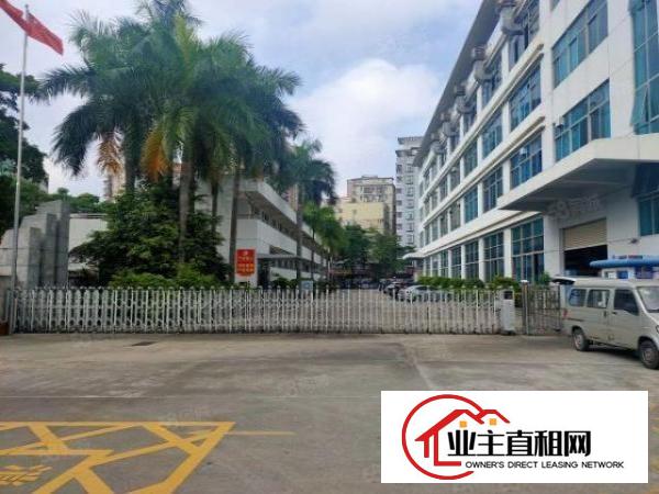  龙华大浪原房东独门独院仓库厂房出租精装修2505平出租可分租