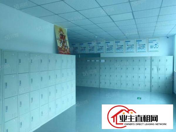  龙华大浪原房东独门独院仓库厂房出租精装修2505平出租可分租