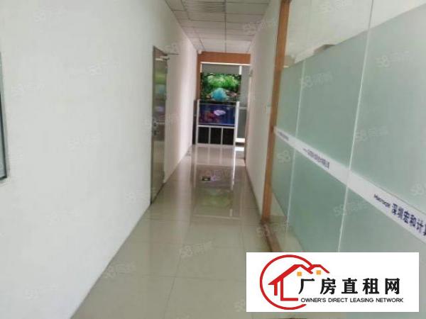  大浪商业中心新出楼上精装修780平