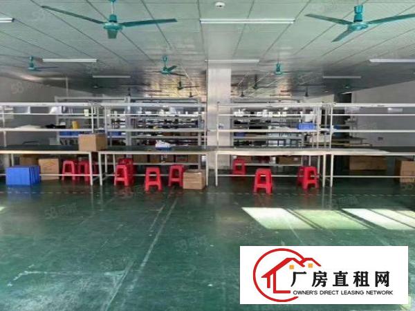  低价出租华荣路原房东厂房