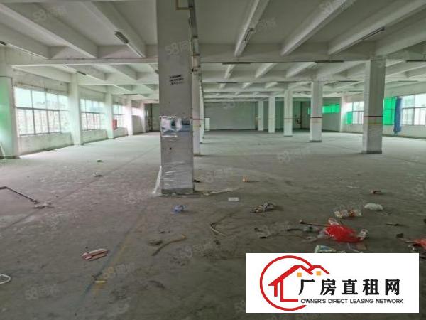 大浪同富屯附近新出楼上2000仓库加工都可以