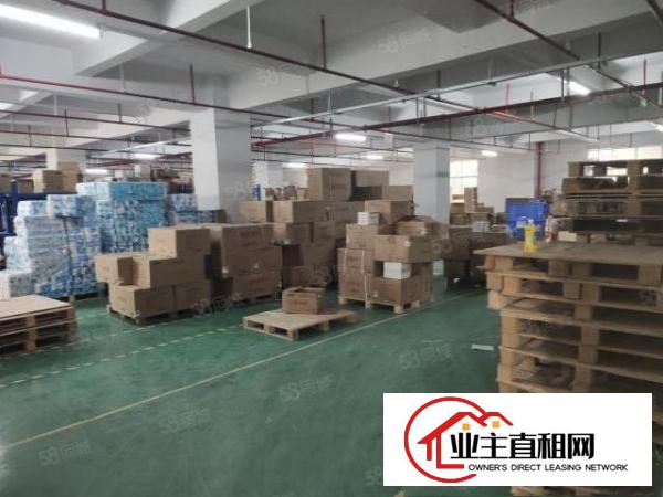  大浪原房东工业园厂房出租一楼厂房2300平可分租300平起租