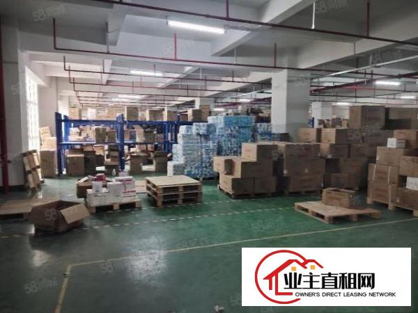  大浪原房东工业园厂房出租一楼厂房2300平可分租300平起租