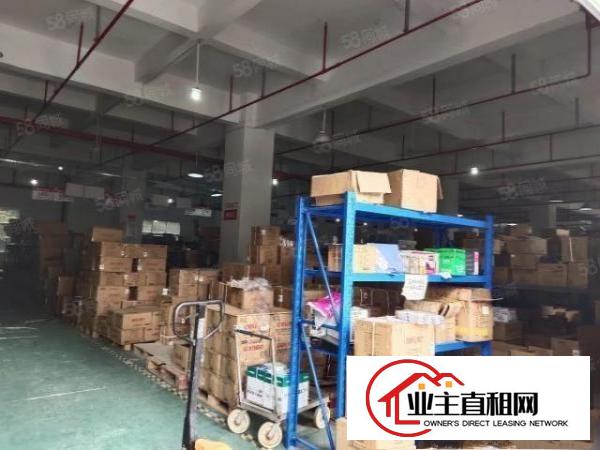  大浪原房东工业园厂房出租一楼厂房2300平可分租300平起租
