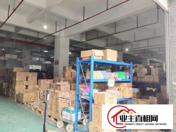  大浪原房东工业园厂房出租一楼厂房2300平可分租300平起租