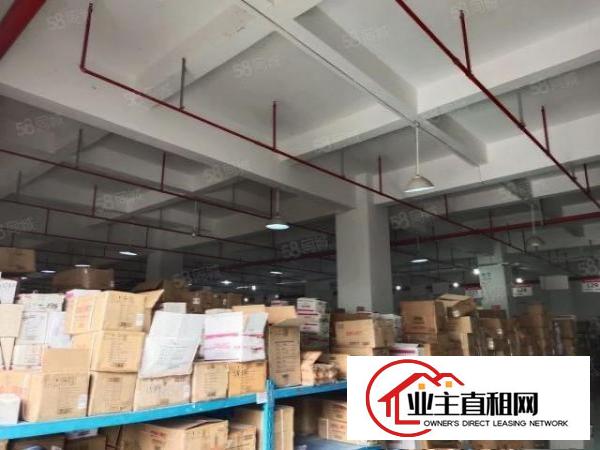  大浪原房东工业园厂房出租一楼厂房2300平可分租300平起租