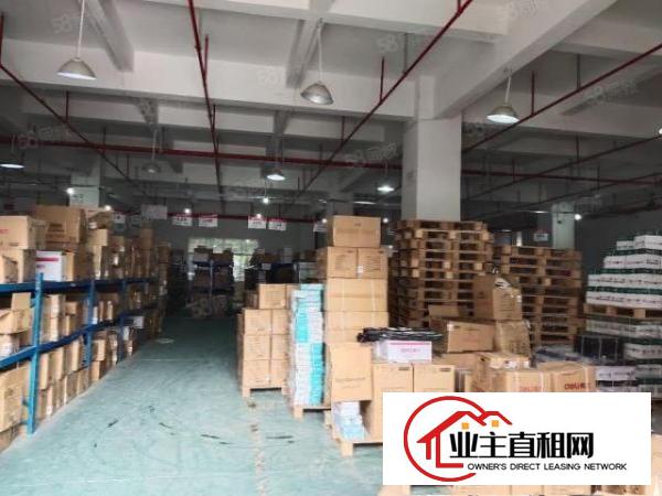  大浪原房东工业园厂房出租一楼厂房2300平可分租300平起租