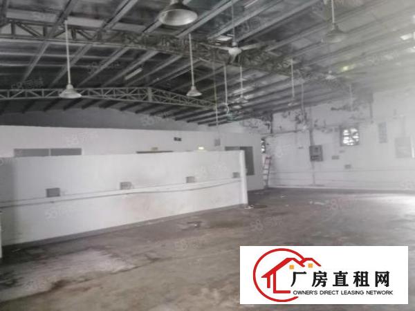  大浪爱义学校附近一楼800平方钢构厂房出租可分租可做多行业