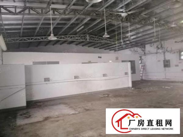  大浪爱义学校附近一楼800平方钢构厂房出租可分租可做多行业