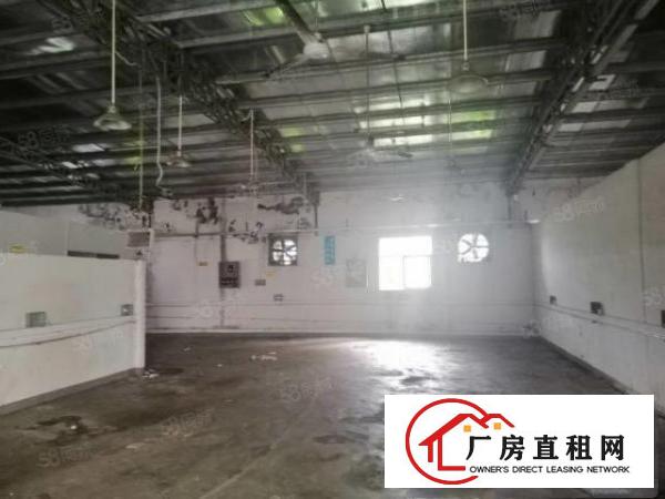  大浪爱义学校附近一楼800平方钢构厂房出租可分租可做多行业