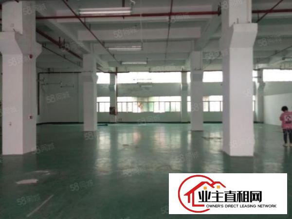  大浪一楼机加工厂房出租可分租