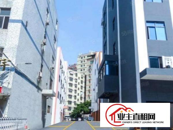  龙华龙胜大浪原房东工业园厂房仓库出租精装修空地大200平起租