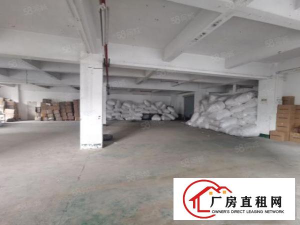  龙华大浪华荣路新出楼上550平有吊机口